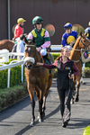 080426-Race 2-Rotokura Belle-0152