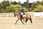 SBM_009883