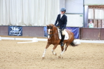 SBM_000893