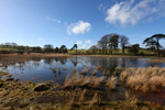 Priddy, Somerset_PR_002