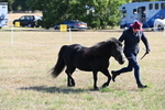WJ6_4247