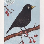 Blackbird - linocut
