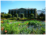 Mount Stewart (IMG0041)
