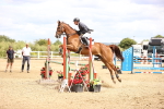 SBM_007863