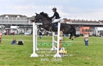 BPP_0606