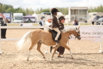 Class 309 - Lead Rein Pony portfolio