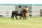 SBM_05168