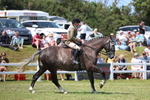 3E7A9489