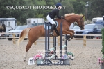 BPP_6610