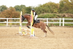 SBM_007532