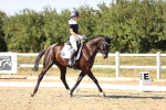 SBM_006774