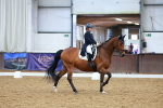 SBM_002331