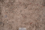240713A-134524-00784