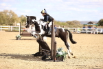 SBM_002909