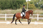 SBM_001353