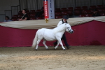 SBM_04917