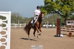 Cls 1 Clear Round, British Novice and 90cm Open portfolio