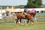 SBM_06895