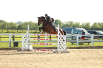 SBM_003346
