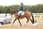SBM_006667