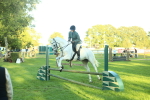 S14 - Riding Club Horse portfolio