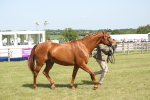SBM_09096