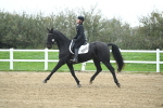 LAD_3530