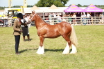 SBM_08627