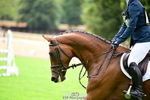 964-Dani.Stewart-Richardson-Finian portfolio