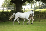 SBM_62748
