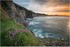 Whiterocks Sea Pinks (IMG1225)