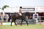 SBM_11383