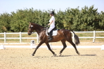 SBM_006660