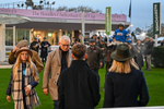 151125-Race 7-Divine Diva-4805