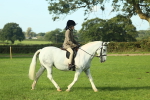 SBM_59828