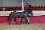 SBM_17422