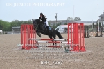 BPP_7287