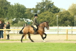SBM_69338