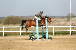 SBM_000221