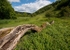 Deep Dale #11