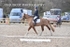 BPP_9991