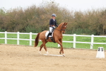 SBM_006623