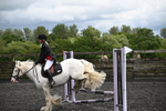 Class 13 Novice 60cm portfolio