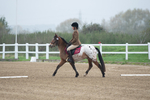 SBM_003401