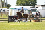 SBM_15791