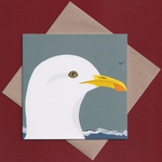 Gull greetings card