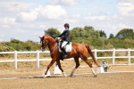 SBM_006213