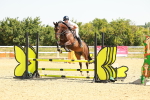 SBM_000534