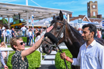 230526-Race 5-Reliable Ricki-7669