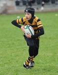 Kendal Under 12 Rugby portfolio